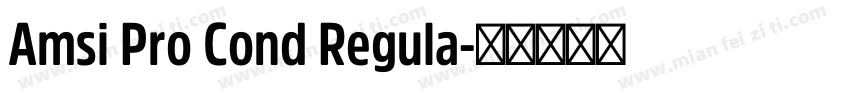 Amsi Pro Cond Regula字体转换